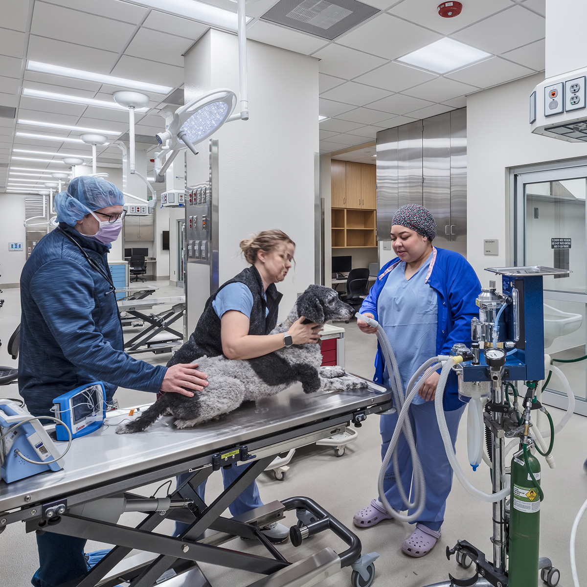AAVMC Event Will Feature Flad's Design for University of Wisconsin School of Veterinary Medicine