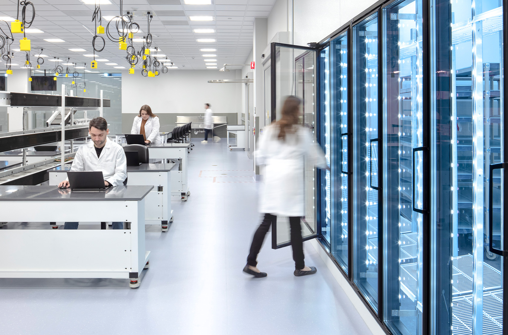 Abbott Cancer Diagnostics - Nexus One Clinical Laboratory Expansion