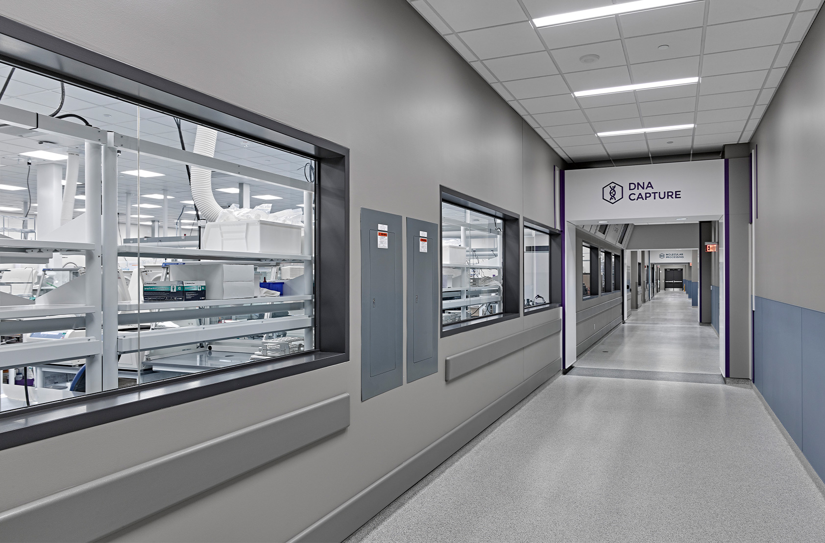 Abbott Cancer Diagnostics - Sample Processing and Production Labs