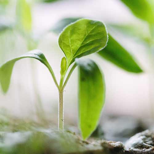 Agricultural Sciences - The Big Picture - New Challenges. New Ideas. | Flad Architects