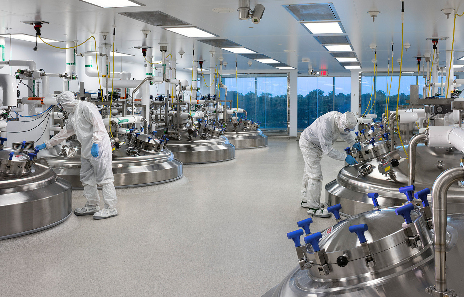 Flad Architects : Scientists working in biomanufacturing facility laboratory