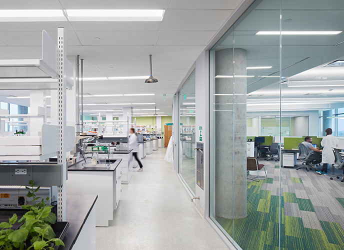 Flad Architects