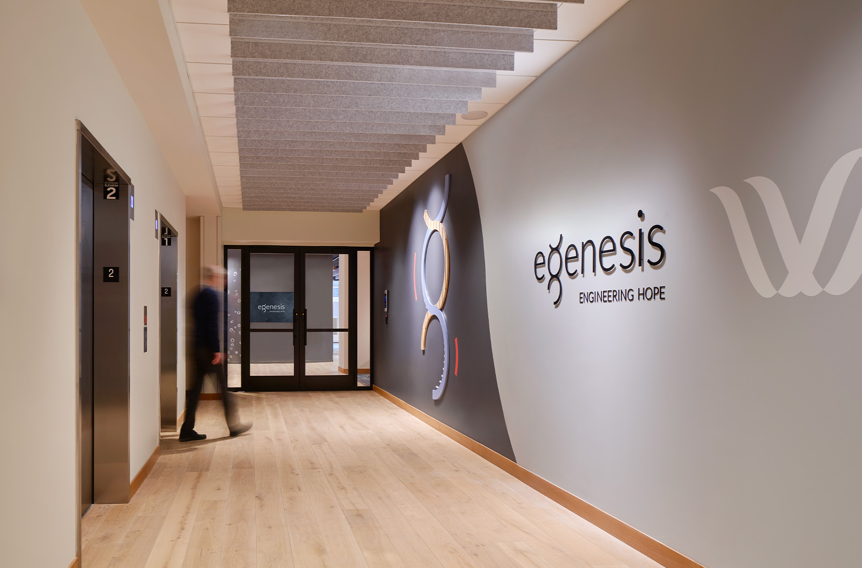 eGenesis - Scientific Workplace Fit-Out