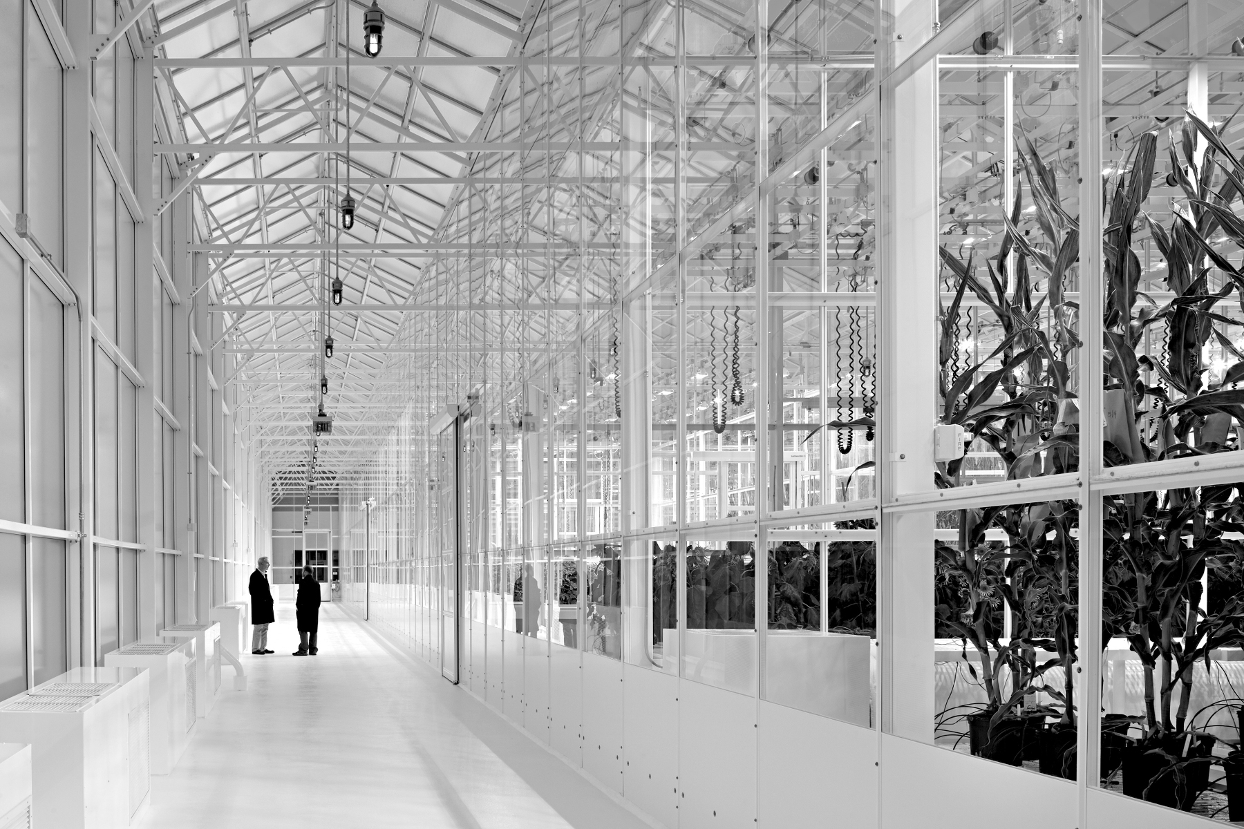 Flad Architects