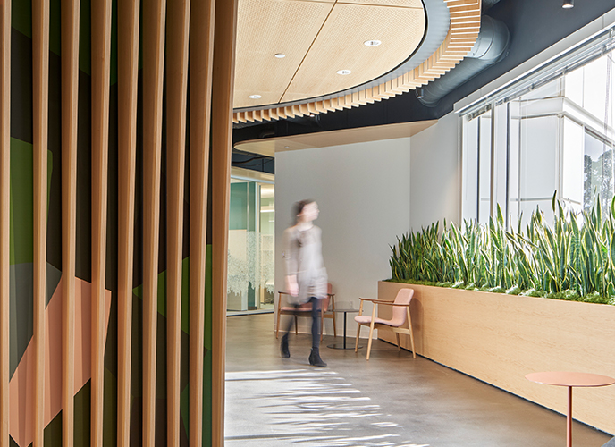 Flad Architects