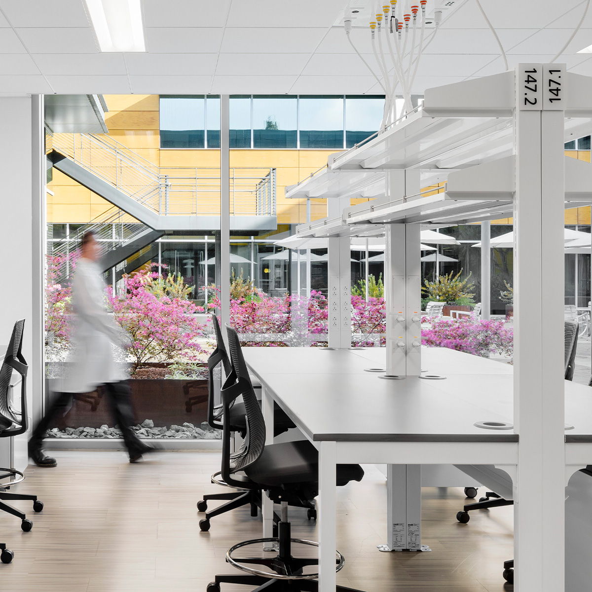Webinar: New Build or Renovation?
