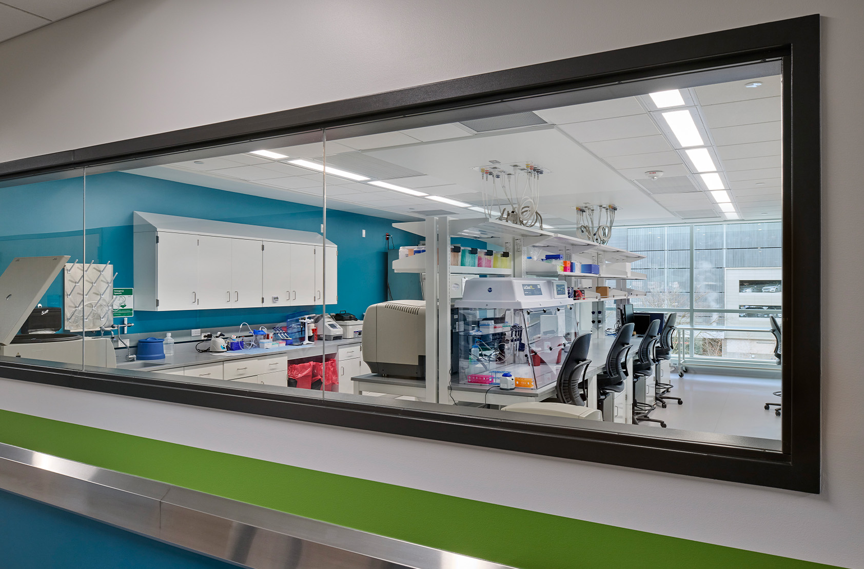 Mayo Clinic - Center for Regenerative Biotherapeutics, Biomanufacturing Development