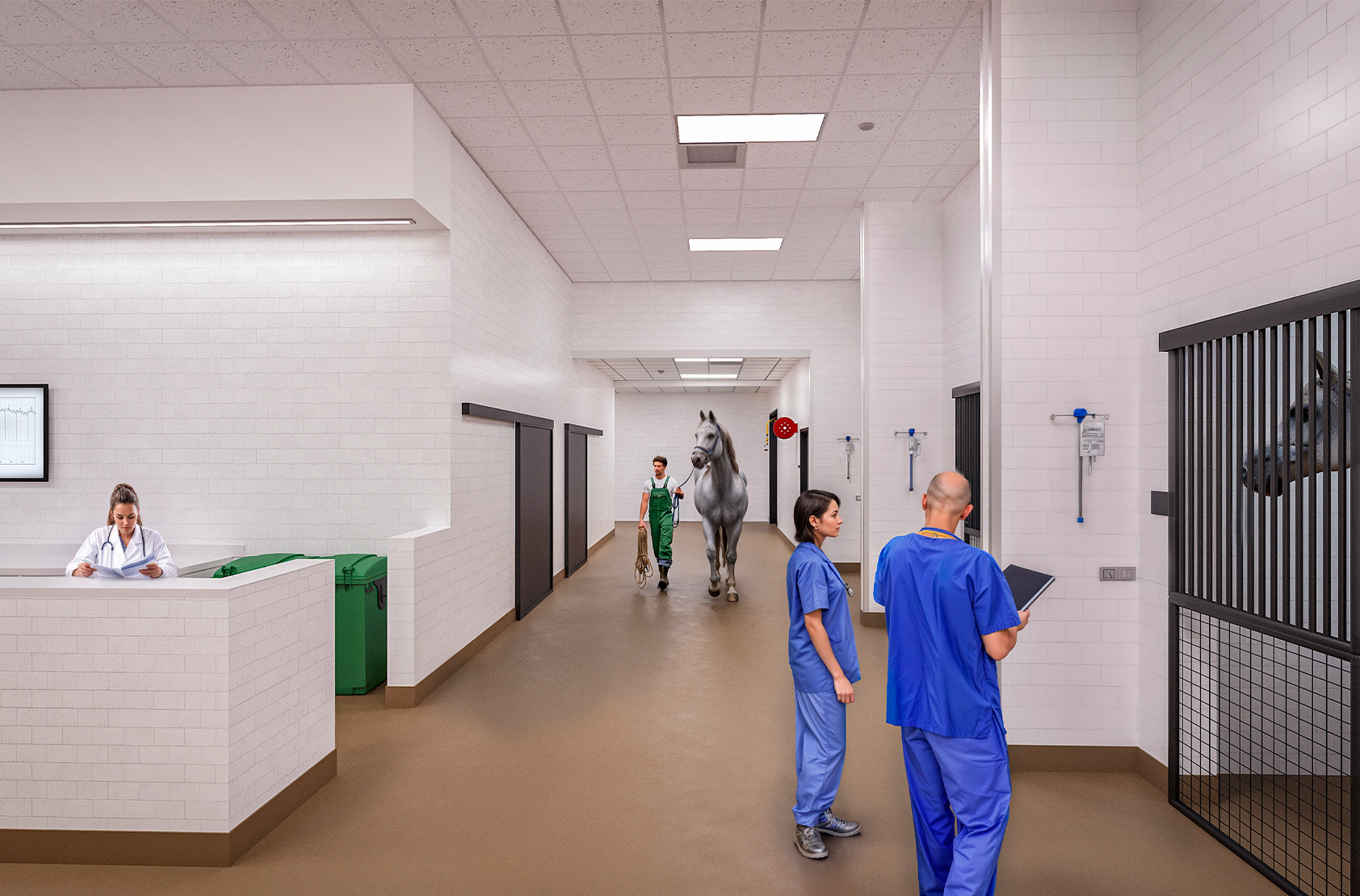 North Carolina State University - Large Animal Veterinary Center | Flad Architects