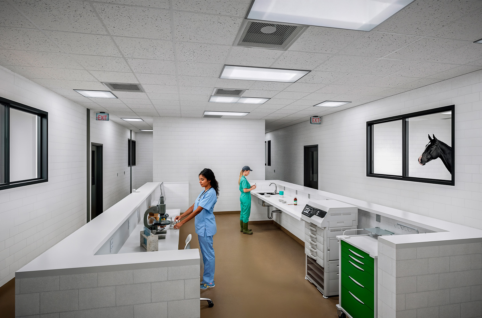 North Carolina State University - Large Animal Veterinary Center | Flad Architects