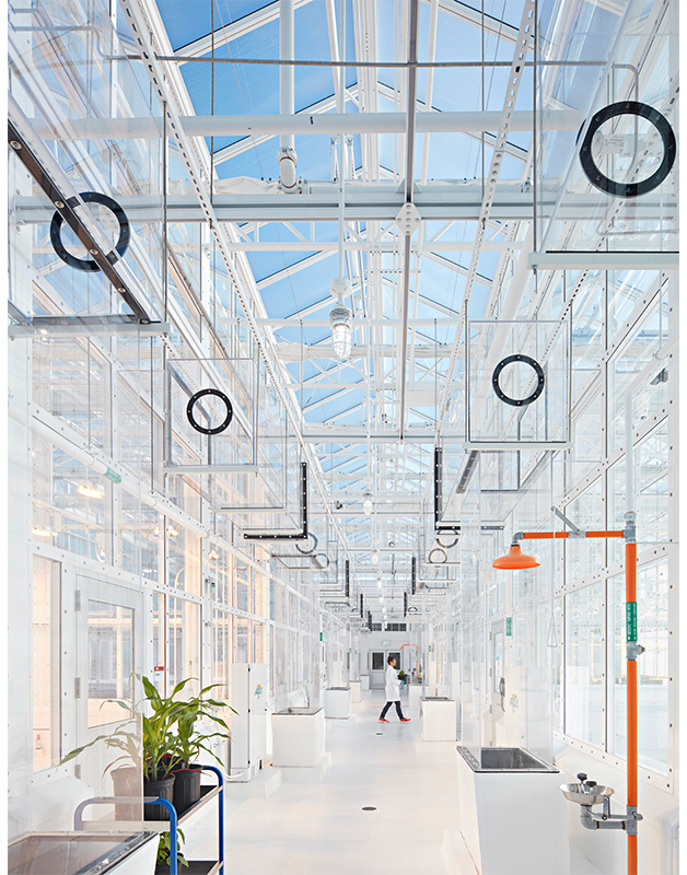 Flad Architects