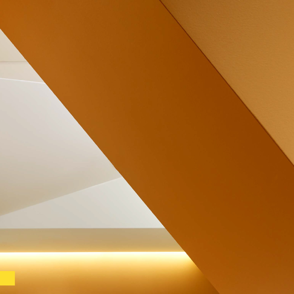 Flad Architects Story
