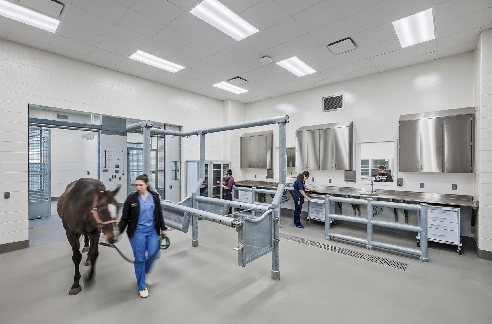 Purdue University - Veterinary Medical Hospital Complex