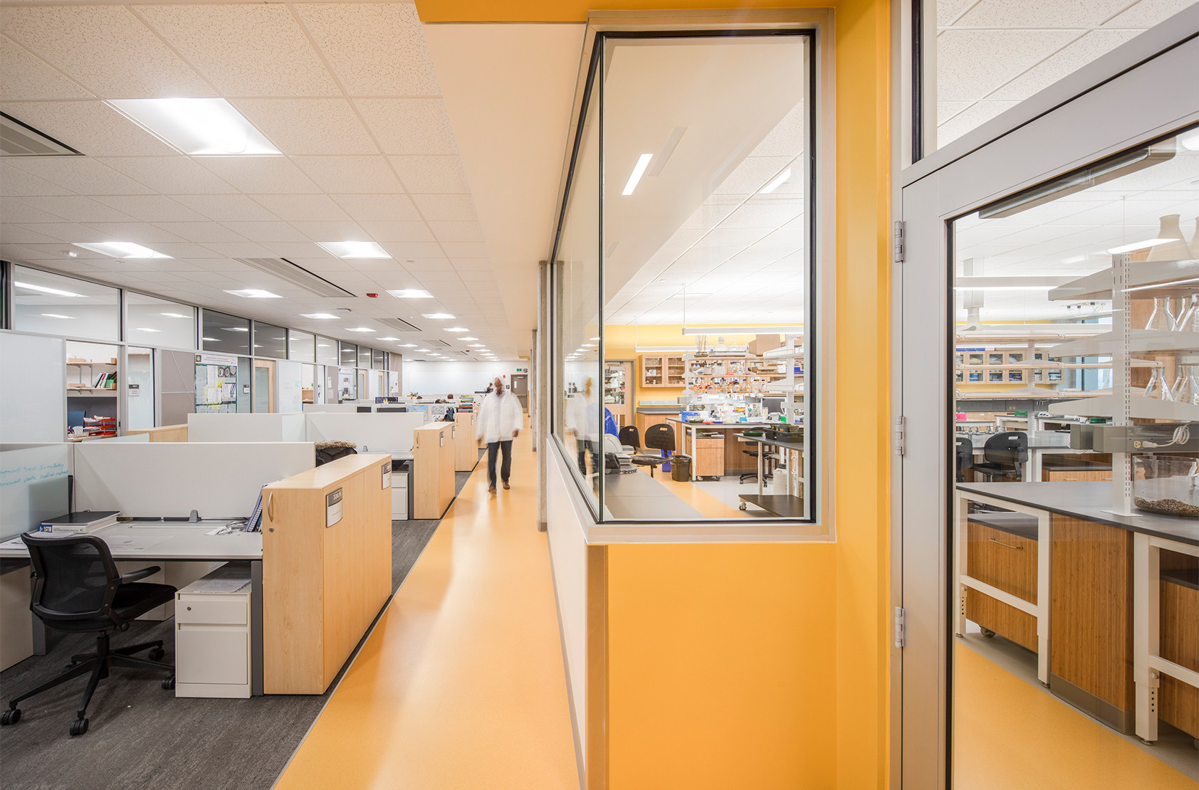 University of Saskatchewan - Collaborative Science Research Building