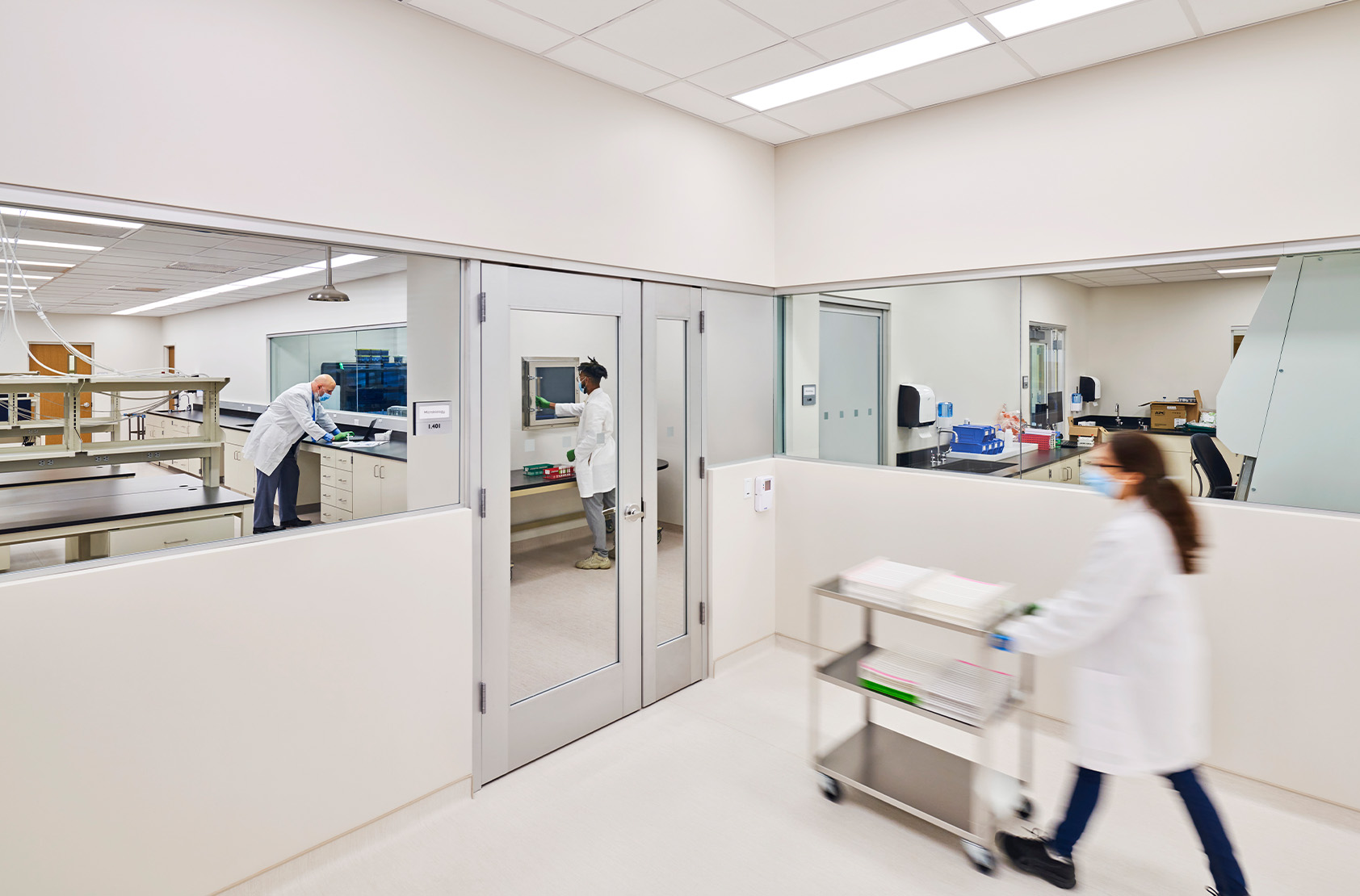 Summit Health - Clinical Testing and Pathology Medicine Lab