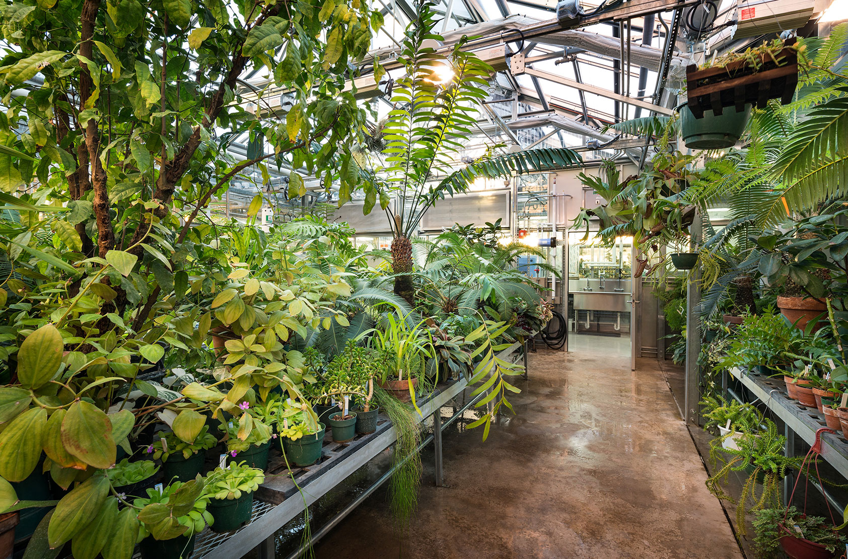 University of Wisconsin - Milwaukee - Research and Instructional Greenhouse