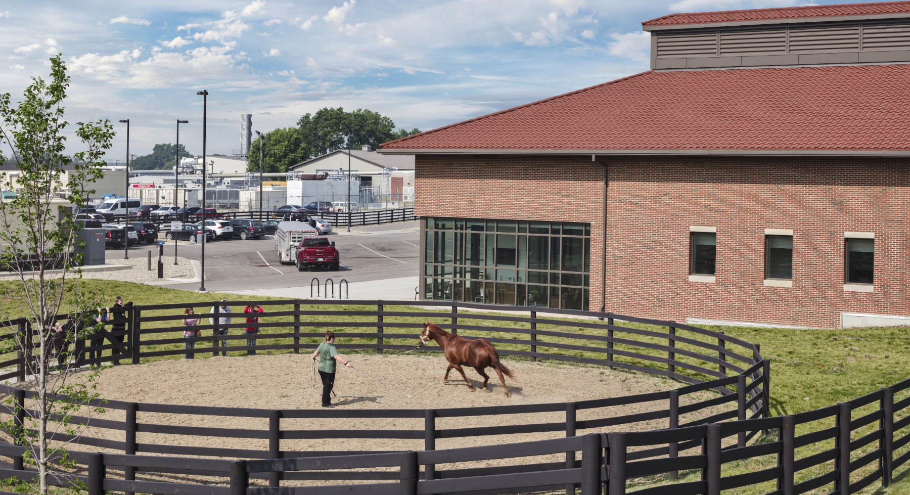 Flad Architects Equine Arena to Veterinary Hospital