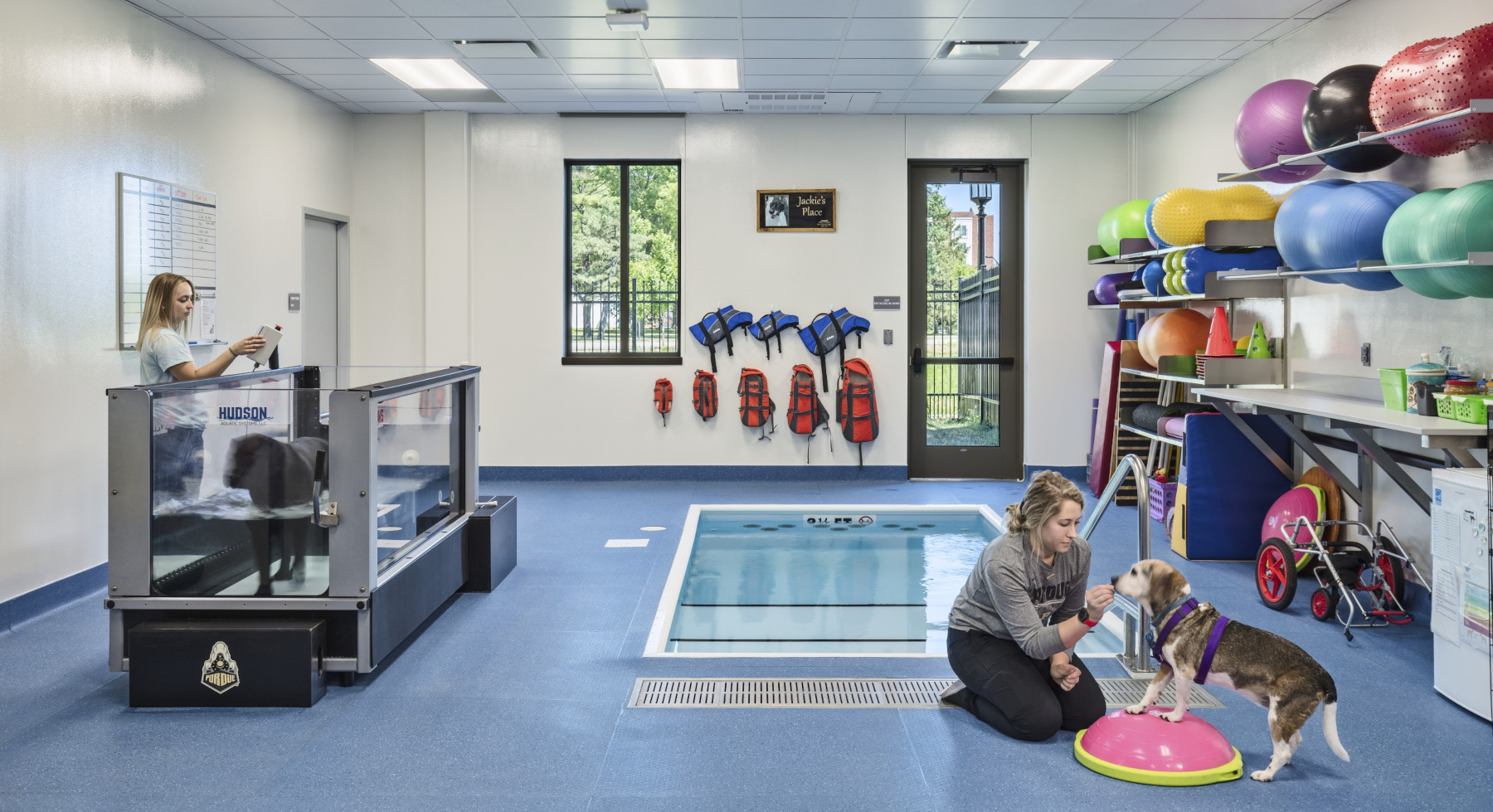 Flad Architects Veterinary Hospital Animal Therapy Center