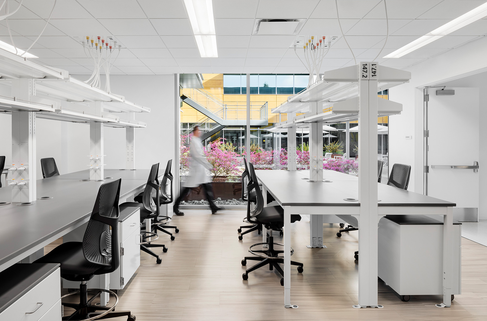 Confidential Client - School of Medicine Laboratory and Office Renovation